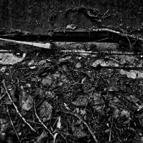 Le cimetière de voitures de Kaufdorf - Berne - Suisse Le cimetière de voitures de Kaufdorf - Berne - Suisse