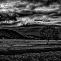 Près de Bons-en-Chablais - Haute-Savoie - France Près de Bons-en-Chablais - Haute-Savoie - France