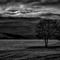 Près de Bons-en-Chablais - Haute-Savoie - France Près de Bons-en-Chablais - Haute-Savoie - France