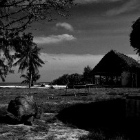 Les Seychelles - Île aux oiseaux - Océan Indien Les Seychelles - Île aux oiseaux - Océan Indien