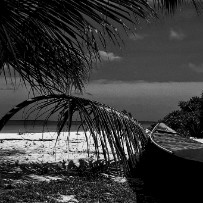 Les Seychelles - Île aux oiseaux - Océan Indien Les Seychelles - Île aux oiseaux - Océan Indien